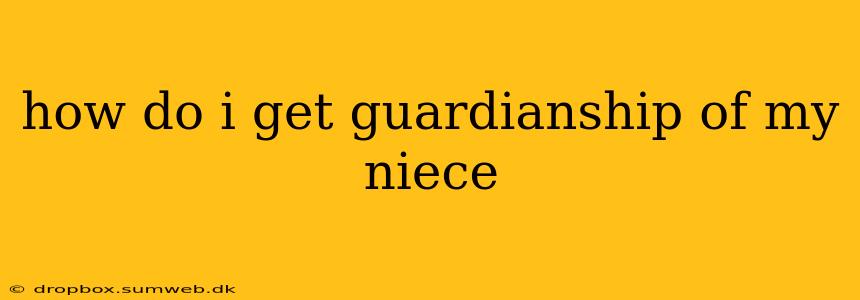 how do i get guardianship of my niece