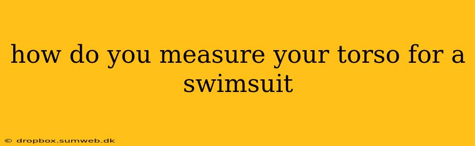 how do you measure your torso for a swimsuit