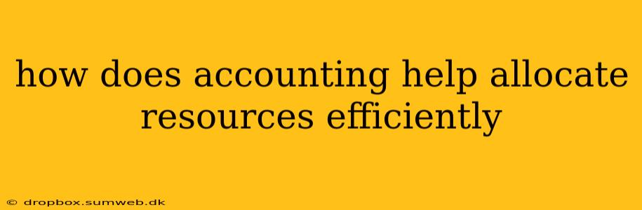 how does accounting help allocate resources efficiently