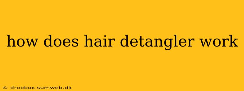 how does hair detangler work