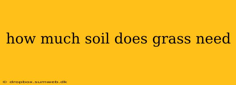 how much soil does grass need