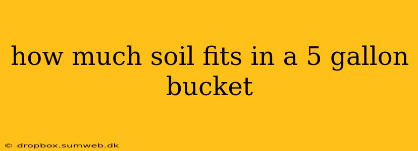 how much soil fits in a 5 gallon bucket