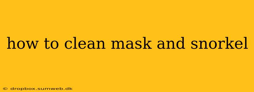 how to clean mask and snorkel