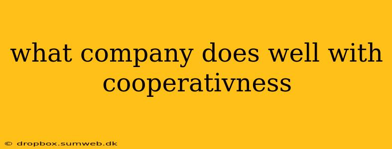 what company does well with cooperativness